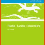 Ernst Klett Verlag - SÃ¤ugetiere, VÃ¶gel Ausgabe Ab 2007 Produktdetails Fuer Arbeitsblätter Biologie Vögel Klett Lösungen
