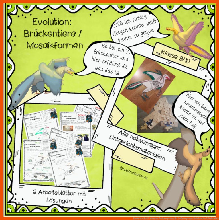 Evolution: BrÃ¼ckentier Archaeopteryx Fuer Archaeopteryx Brückentier Arbeitsblatt