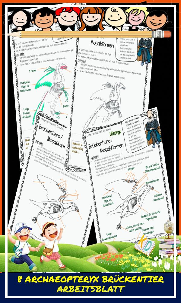 8 Archaeopteryx Brückentier Arbeitsblatt