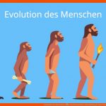 Evolution Des Menschen â¢ Urzeitmenschen, Entwicklung Â· [mit Video] Fuer Stammbaum Des Menschen Arbeitsblatt