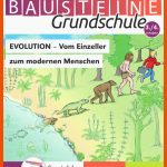 Evolution - Vom Einzeller Zum Modernen Menschen Fuer Entstehung Von Fossilien Arbeitsblatt