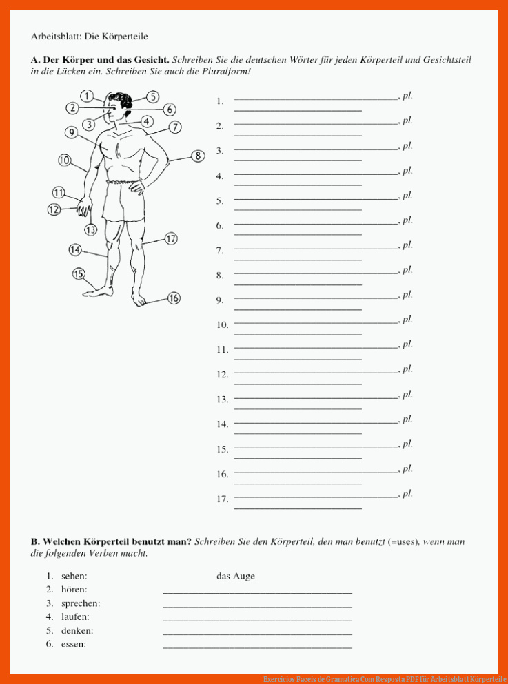 Exercicios Faceis de Gramatica Com Resposta | PDF für arbeitsblatt körperteile