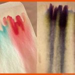 Experimente: Chromatographie Mit Farben Fuer Papierchromatographie Arbeitsblatt