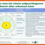 Experimente Im Biologie-unterricht - Ppt Video Online Herunterladen Fuer Aufbau Hühnerei Arbeitsblatt