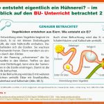 Experimente Im Biologie-unterricht - Ppt Video Online Herunterladen Fuer Ein Hühnerei Entsteht Arbeitsblatt