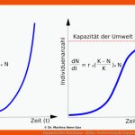 Exponentielles Wachstum - Abitur-vorbereitung Fuer Exponentielles Wachstum Arbeitsblatt