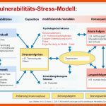 FakultÃ¤t Mathematik Und Naturwissenschaften Fachrichtung ... Fuer Vulnerabilitäts-stress-modell Arbeitsblatt