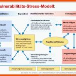 FakultÃ¤t Mathematik Und Naturwissenschaften Fachrichtung ... Fuer Vulnerabilitäts-stress-modell Arbeitsblatt