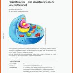 Faszination Zelle â Eine Kompetenzorientierte Unterrichtseinheit Fuer Chloroplast Bau Und Funktion Arbeitsblatt