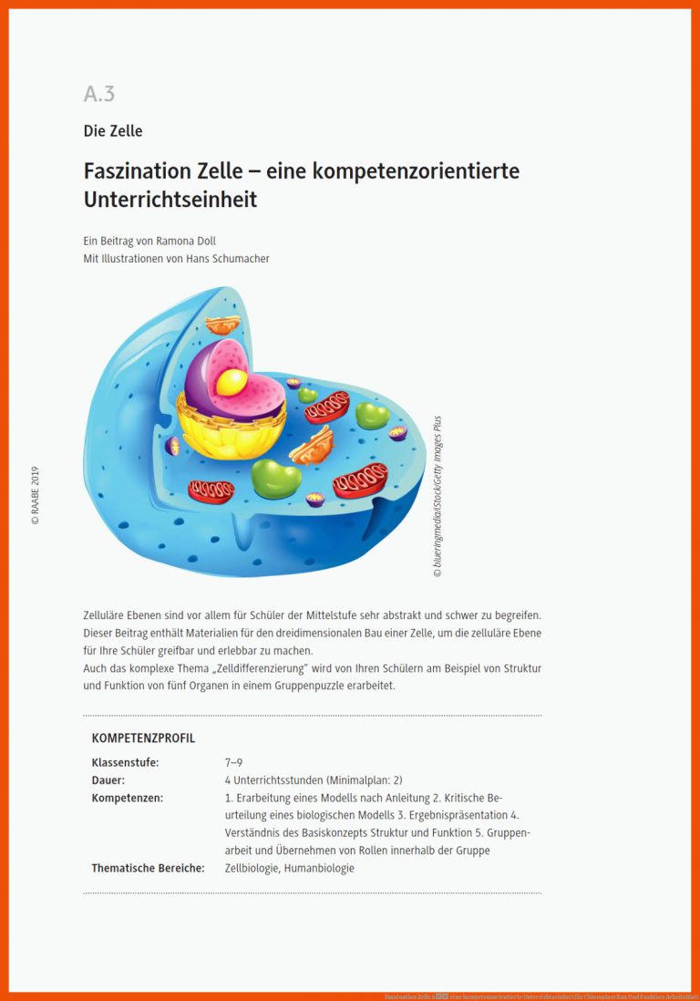 Faszination Zelle â eine kompetenzorientierte Unterrichtseinheit für chloroplast bau und funktion arbeitsblatt