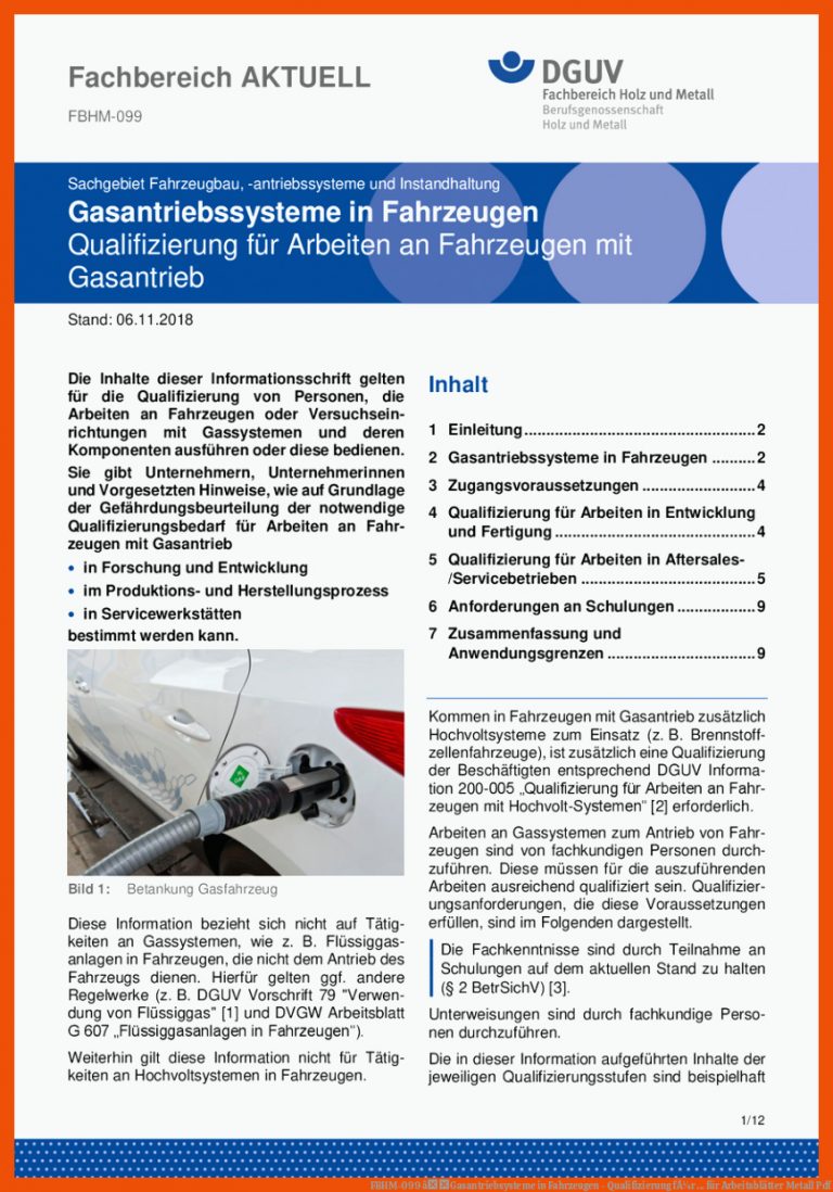 Fbhm-099 âgasantriebsysteme In Fahrzeugen - Qualifizierung FÃ¼r ... Fuer Arbeitsblätter Metall Pdf
