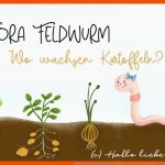 FeldfrÃ¼chte Entdecken Mit Flora Feldwurm - Wo Wachsen Kartoffeln ... Fuer Arbeitsblatt Kartoffel Kindergarten