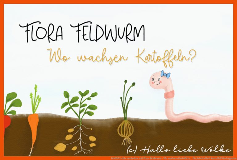 FeldfrÃ¼chte entdecken mit Flora Feldwurm - Wo wachsen Kartoffeln ... für arbeitsblatt kartoffel kindergarten
