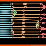 File:retina Schema Farbe.xcf - Wikimedia Commons Fuer Stäbchen Und Zapfen Arbeitsblatt