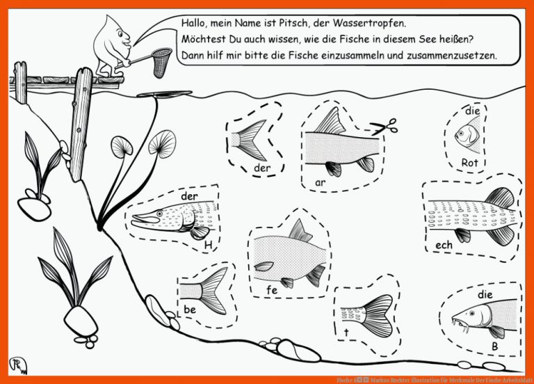 Fische â Markus Ruchter Illustration Fuer Merkmale Der Fische Arbeitsblatt