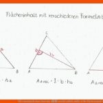 FlÃ¤cheninhalt Eines Dreiecks â VerstÃ¤ndlich ErklÃ¤rt Fuer Flächeninhalt Rechtwinkliges Dreieck Arbeitsblatt