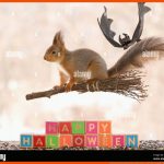 Fledermaus Brief Stockfotos Und -bilder Kaufen - Alamy Fuer Arbeitsblatt Eichhörnchen Beschriften