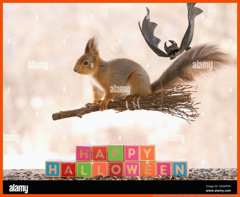 Fledermaus Brief Stockfotos und -bilder Kaufen - Alamy für arbeitsblatt eichhörnchen beschriften