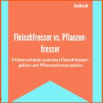 Fleischfressergebiss Vs. Pflanzenfressergebiss: 4 Unterschiede Fuer Gebiss Pflanzenfresser Fleischfresser Allesfresser Arbeitsblatt