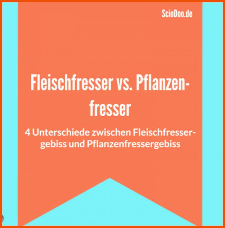 Fleischfressergebiss vs. Pflanzenfressergebiss: 4 Unterschiede für gebiss pflanzenfresser fleischfresser allesfresser arbeitsblatt