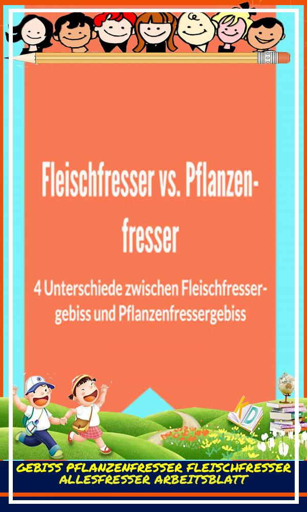 Gebiss Pflanzenfresser Fleischfresser Allesfresser Arbeitsblatt