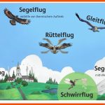 Flugarten Der VÃ¶gel Biologie Schubu Fuer Arbeitsblatt Vögel Klasse 6