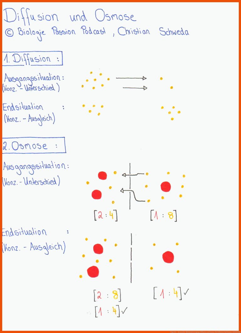 Folge 011 - Brownsche Molekularbewegung: Diffusion und Osmose für diffusion und osmose arbeitsblatt
