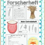 Forscherheft: Getreide â Unterrichtsmaterial Im Fach ... Fuer Sachunterricht Vom Korn Zum Brot Grundschule Arbeitsblätter