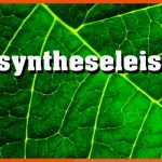 Fotosynthese: Einfluss Von Temperatur, LichintensitÃ¤t, LichtqualitÃ¤t Und Co2 Fuer Fotosynthese Bei Licht Und Schatten Arbeitsblatt Lösung