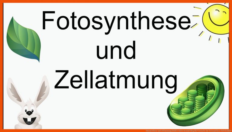 Fotosynthese und Zellatmung | ErklÃ¤rvideo | Sontak Blog für versuche zur fotosynthese arbeitsblatt