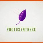 Fotosynthese Unterrichtsmaterial Mit ErklÃ¤r-video FÃ¼r ... Fuer Photosynthese Arbeitsblatt Pdf
