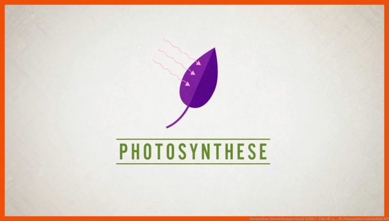 Fotosynthese Unterrichtsmaterial mit ErklÃ¤r-Video fÃ¼r ... für photosynthese arbeitsblatt pdf