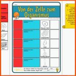 Frau Mangold (1e3dea7a2035566b55ac49d2e4f436) â Profil Pinterest Fuer Von Der Zelle Zum organismus Arbeitsblatt Lösungen