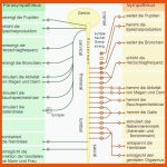 Freies Lehrbuch Biologie: 05.03 Das Vegetative Nervensystem Und Stress Fuer Das Vegetative Nervensystem Arbeitsblatt