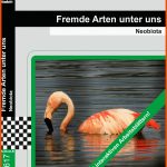 Fremde Arten Unter Uns - Dvd - Medienlb Fuer Medienlb Arbeitsblätter Lösungen