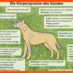 Frostfleisch & Naturnahrung - Die Hundebarf Braunschweig Fuer Körpersprache Hund Arbeitsblatt