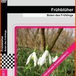 FrÃ¼hblÃ¼her - Dvd - Medienlb Fuer Schneeglöckchen Arbeitsblatt