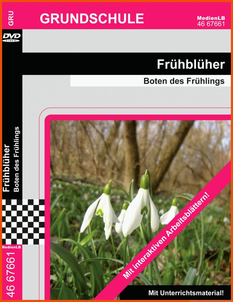 FrÃ¼hblÃ¼her - DVD - MedienLB für schneeglöckchen arbeitsblatt