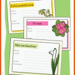 FrÃ¼hblÃ¼her Grundschule Arbeitsblatt - Steckbriefe Zum AusfÃ¼llen Fuer Steckbrief Tulpe Arbeitsblatt