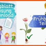 FrÃ¼hblÃ¼her Teil 2 Von 5, Sachunterricht Grundschule - Mit Arbeitsblatt Und LÃ¶sung Fuer Wassertransport Pflanze Arbeitsblatt