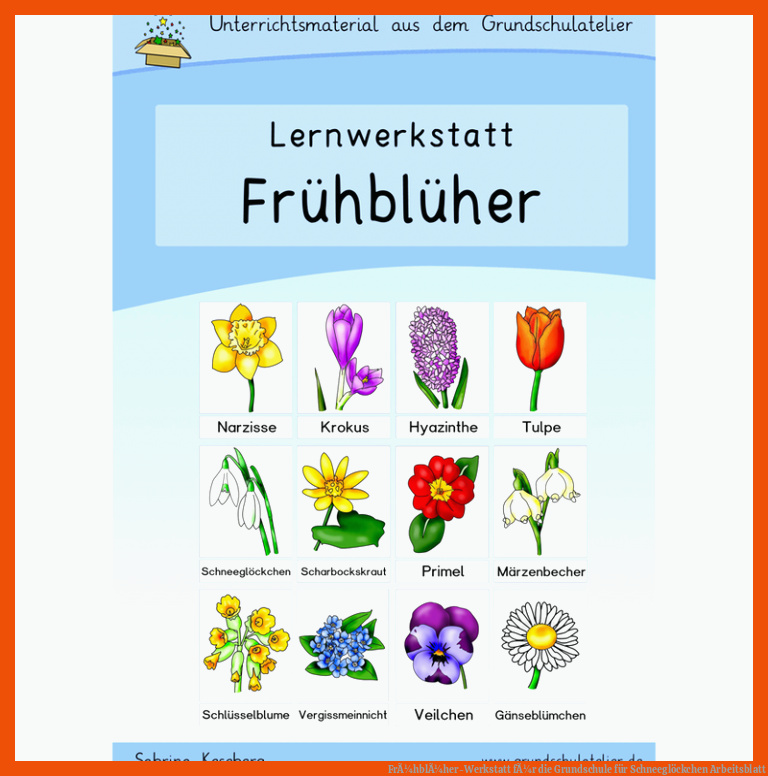 FrÃ¼hblÃ¼her-Werkstatt fÃ¼r die Grundschule für schneeglöckchen arbeitsblatt