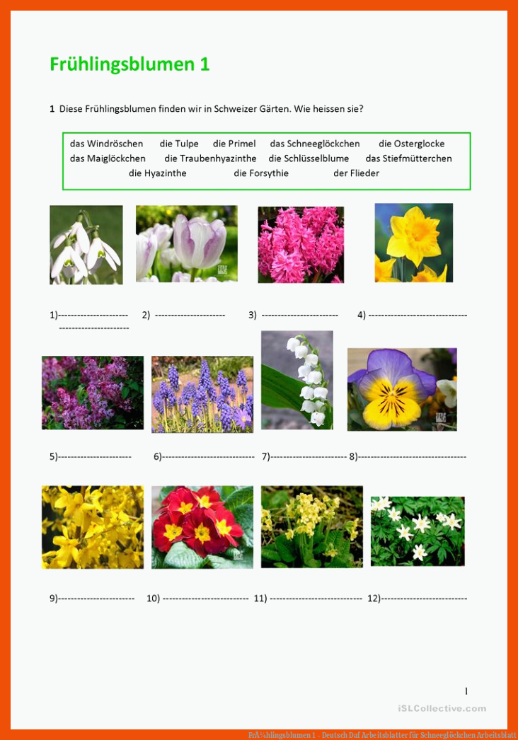 FrÃ¼hlingsblumen 1 - Deutsch Daf Arbeitsblatter für schneeglöckchen arbeitsblatt