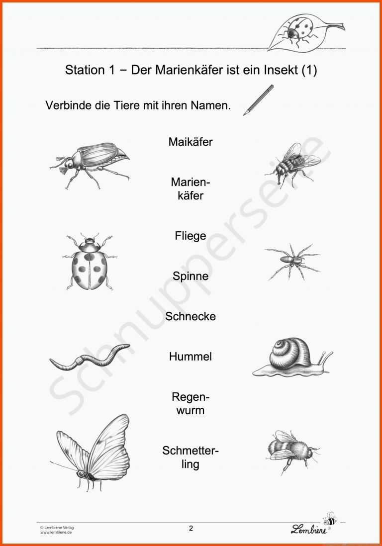 FrÃ¼hlingspaket Klasse 1â2 | Lernbiene Verlag für insekten arbeitsblatt pdf