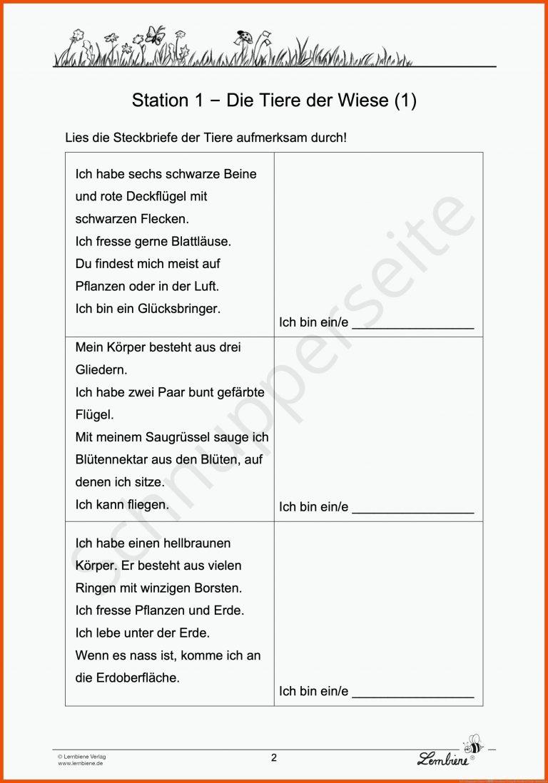FrÃ¼hlingspaket Klasse 1â2 Lernbiene Verlag Fuer Steckbrief Tulpe Arbeitsblatt