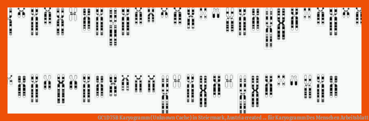 GC1D75B Karyogramm (Unknown Cache) in Steiermark, Austria created ... für karyogramm des menschen arbeitsblatt