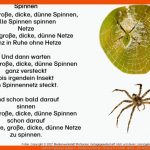 Gedicht: Spinnen Spinnen - Medienwerkstatt-wissen Â© 2006-2022 ... Fuer Arbeitsblatt Spinne Kindergarten