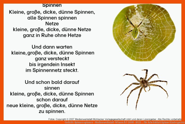 Gedicht: Spinnen spinnen - Medienwerkstatt-Wissen Â© 2006-2022 ... für arbeitsblatt spinne kindergarten