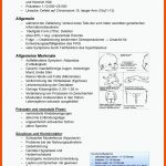 Gei.3 Prader-willi-syndrom Schuck - Prader-willi-syndrom Ãtiologie ... Fuer Wirbelsäule Arbeitsblatt Pdf