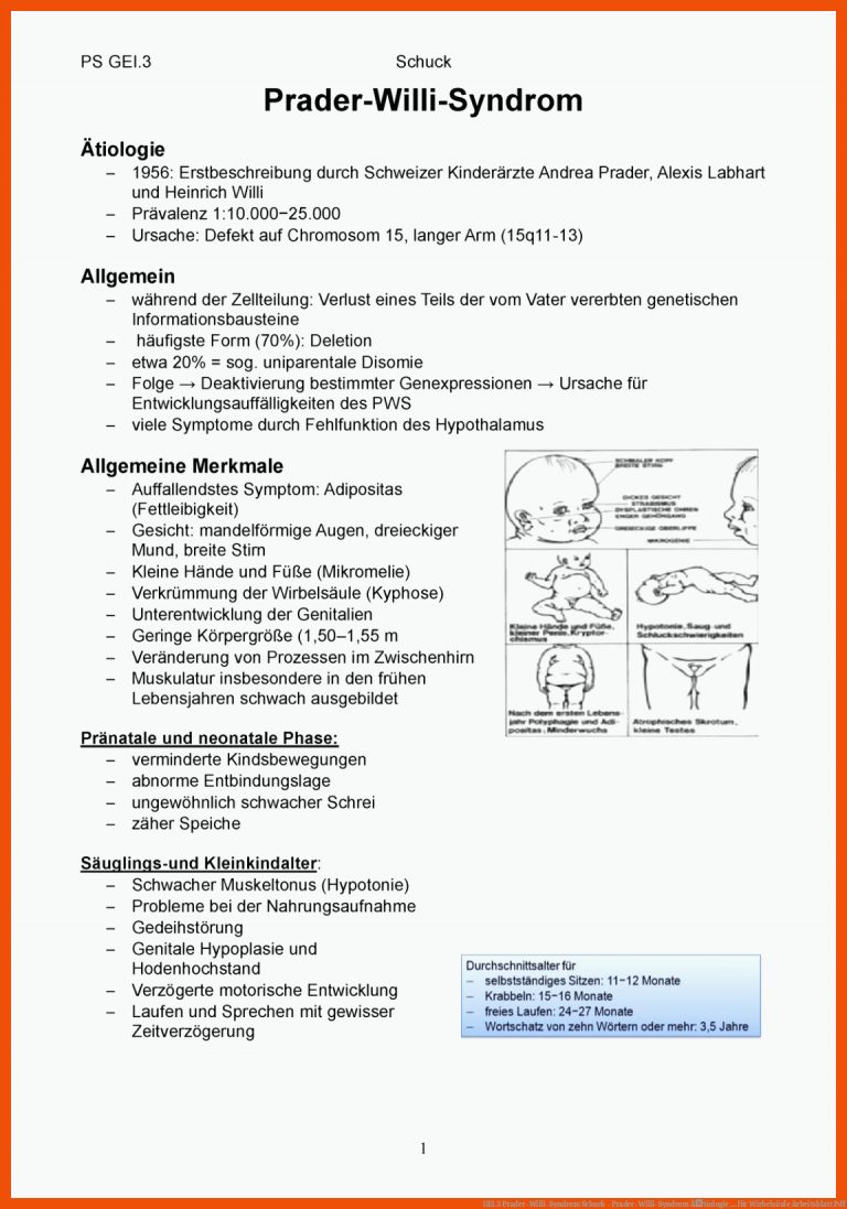 GEI.3 Prader-Willi-Syndrom Schuck - Prader-Willi-Syndrom Ãtiologie ... für wirbelsäule arbeitsblatt pdf