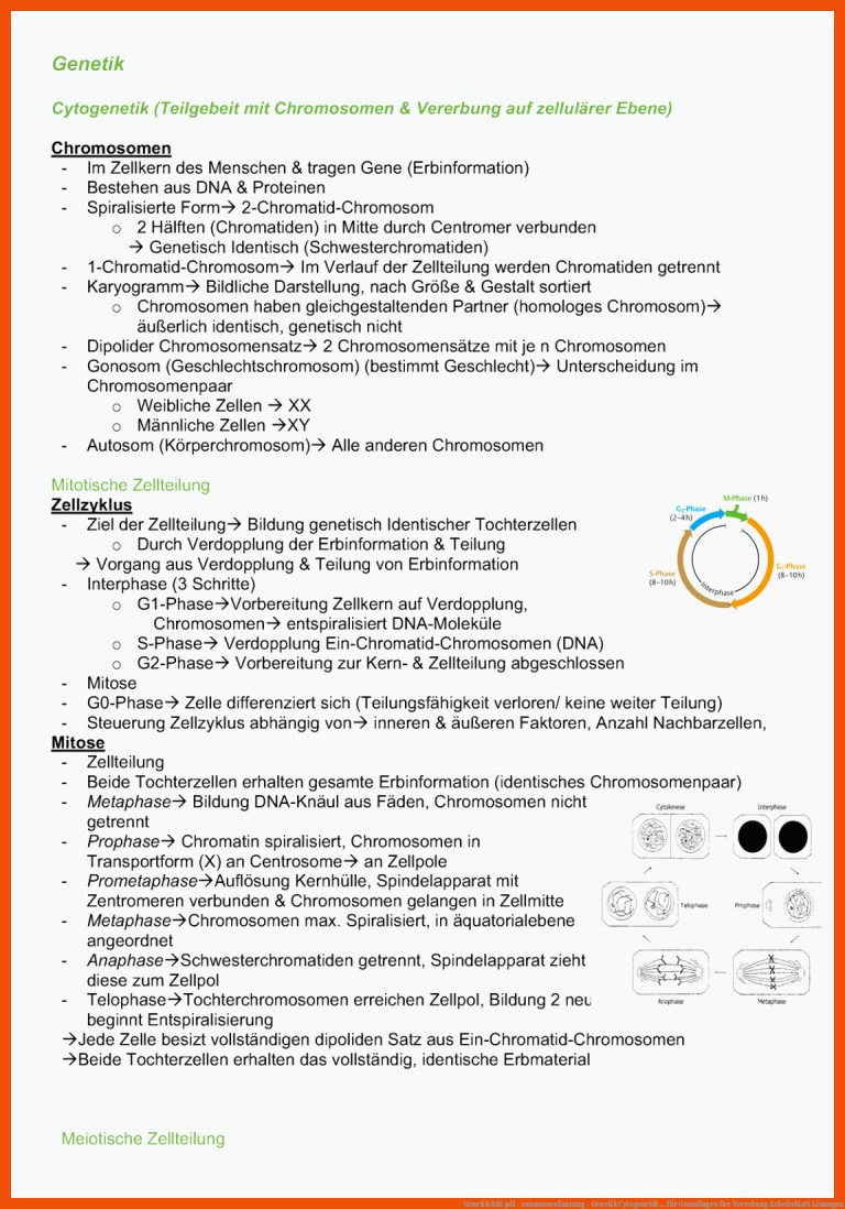 Genetik ABI pdf - zusammenfassung - Genetik Cytogenetik ... für grundlagen der vererbung arbeitsblatt lösungen